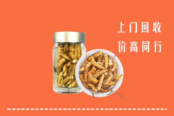 船山区回收冬虫夏草