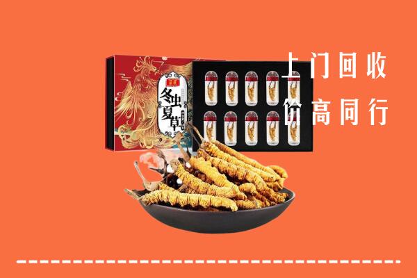 船山区回收虫草